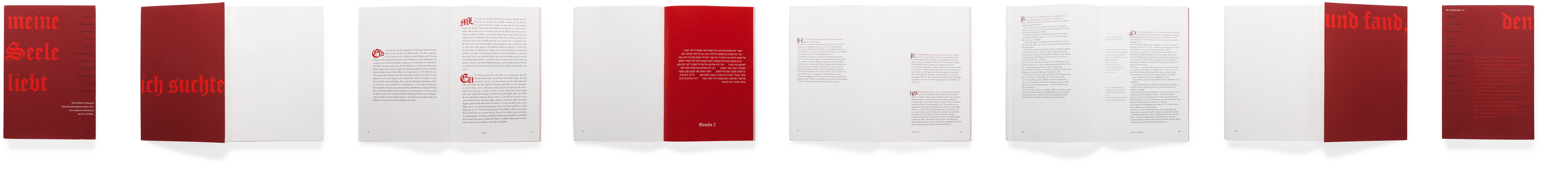 homosexualität in der bibel 